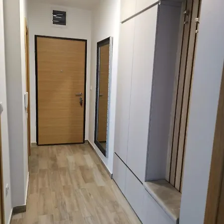 Comfort Art Zone Apartman