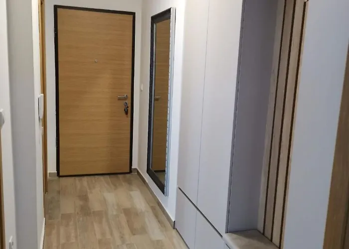 Comfort Art Zone Apartment